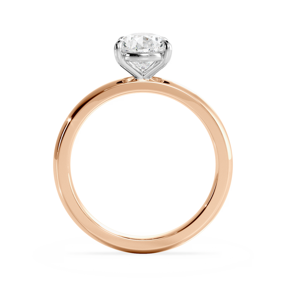 Base Ring - 020700011101020000000000 - View 