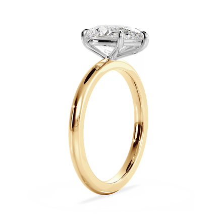 Base Ring - 020700011201020000000000
