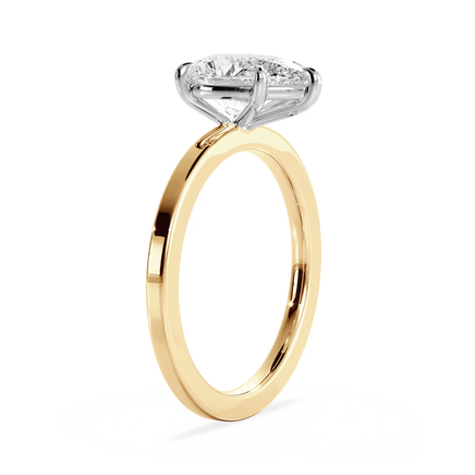 Base Ring - 020700011202040000000000