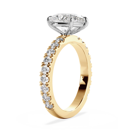 Base Ring - 020700011204080400000000