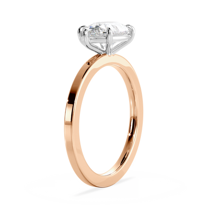Base Ring - 020700021102040000000000