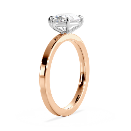 Base Ring - 020700021102060000000000