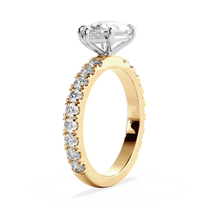 Base Ring - 020700021204120800000000