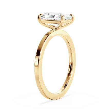 Base Ring - 020800010402040000000000