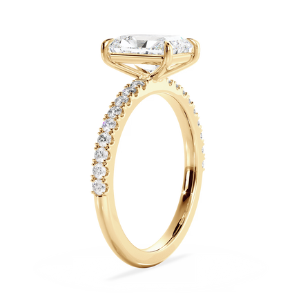 Base Ring - 020800010403070100000000