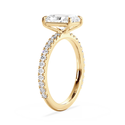 Base Ring - 020800010403110600000000