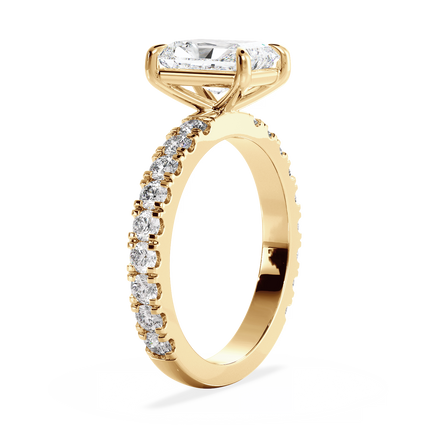 Base Ring - 020800010404080400000000