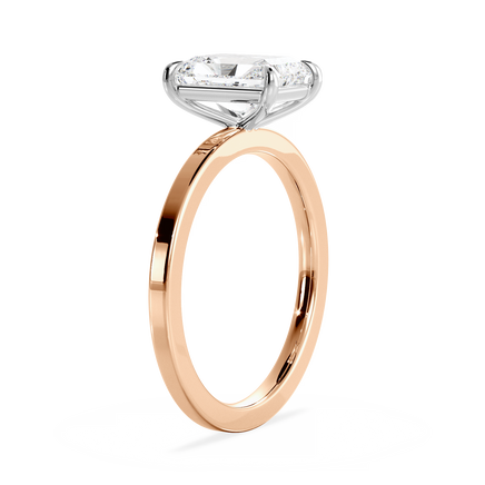 Base Ring - 020800011102040000000000