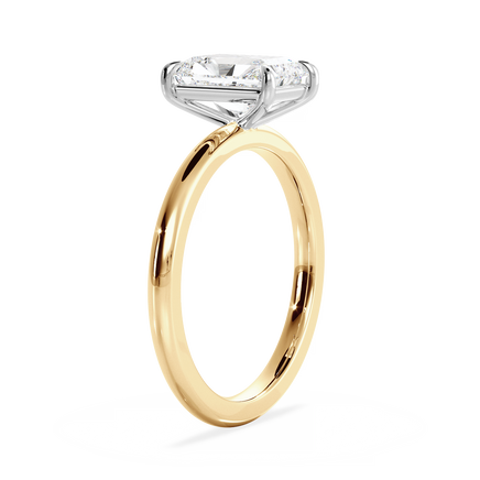 Base Ring - 020800011201020000000000