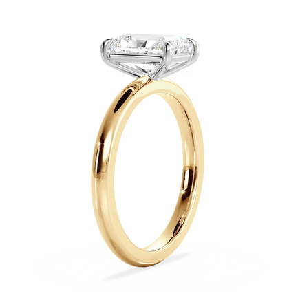 Base Ring - 020800011201030000000000