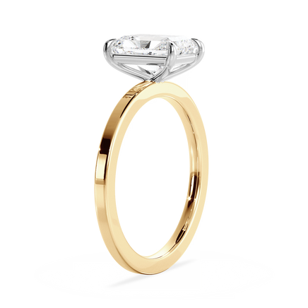 Base Ring - 020800011202040000000000