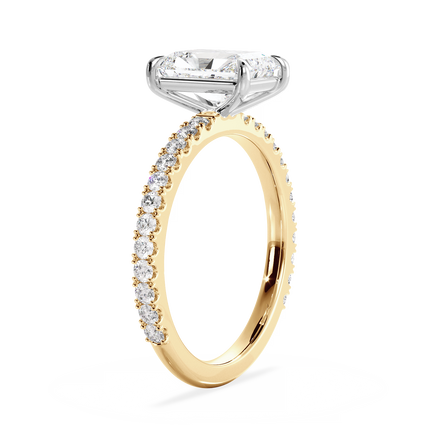 Base Ring - 020800011203070200000000