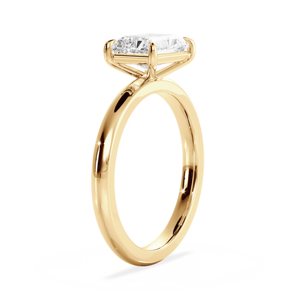 Base Ring - 020800020401030000000000