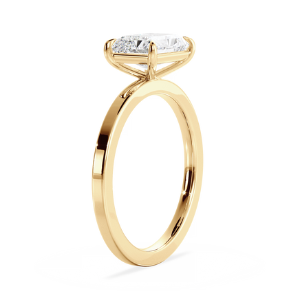 Base Ring - 020800020402040000000000