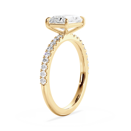 Base Ring - 020800020403070100000000