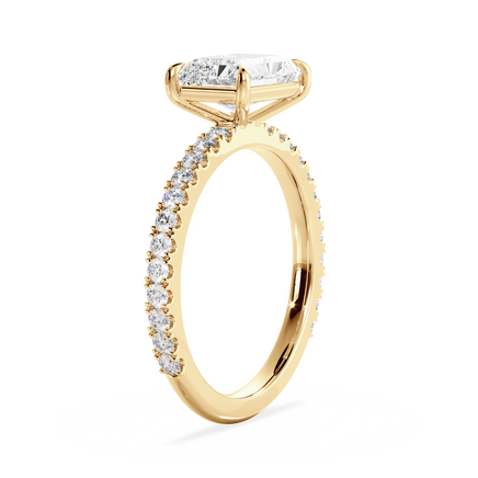 Base Ring - 020800020403070200000000
