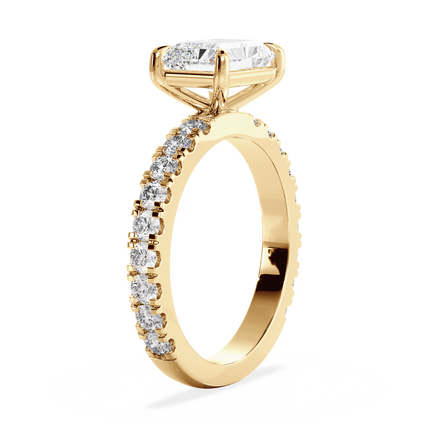 Base Ring - 020800020404120800000000