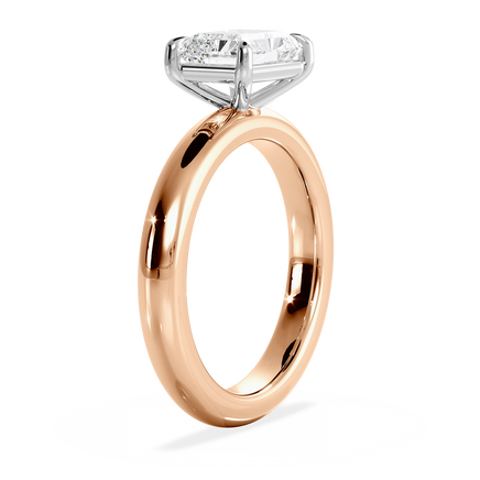 Base Ring - 020800021106100000000000
