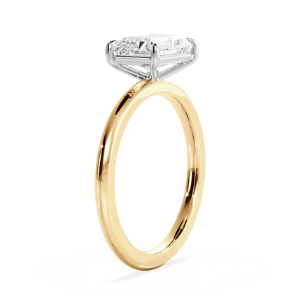Base Ring - 020800021201010000000000