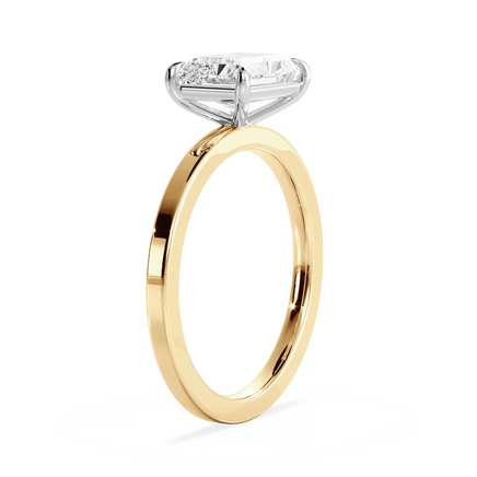 Base Ring - 020800021202040000000000