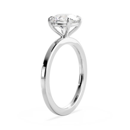 Base Ring - 020901000102040000000000