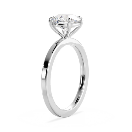 Base Ring - 020901000102050000000000