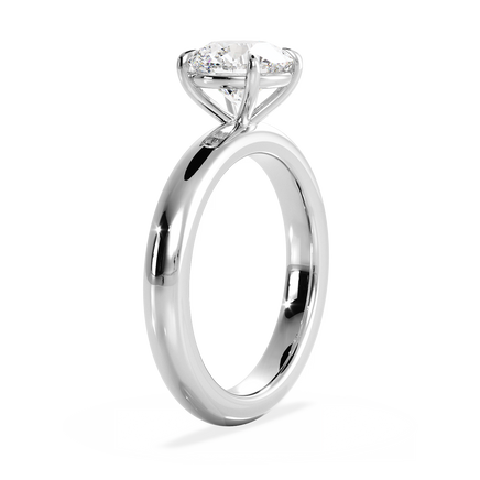 Base Ring - 020901000106100000000000