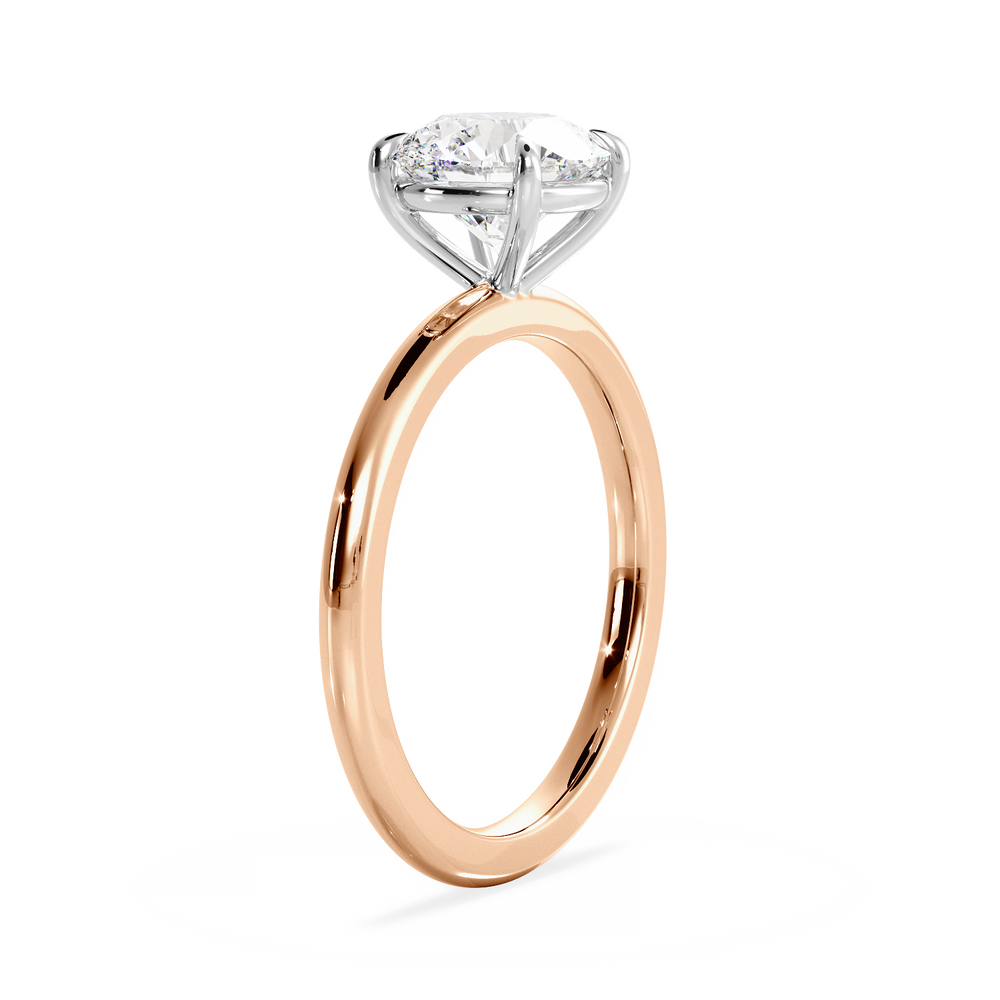 Base Ring - 020901001101010000000000 - View 