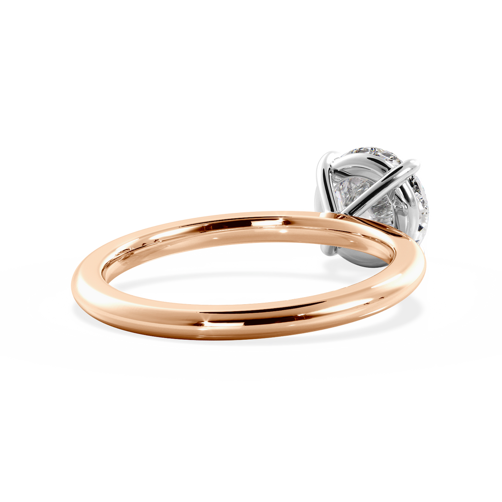 Base Ring - 020901001101010000000000 - View 