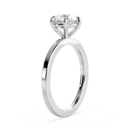 Base Ring - 020902000102040000000000