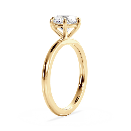 Base Ring - 020902000401020000000000