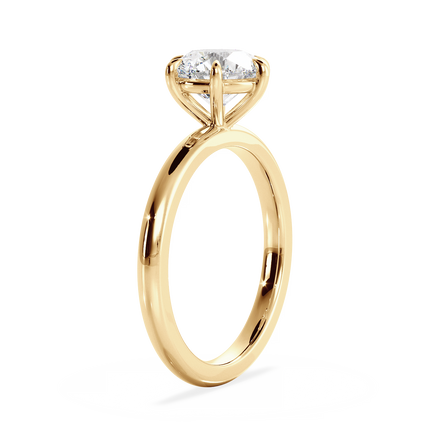 Base Ring - 020902000401030000000000