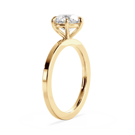 Base Ring - 020902000402040000000000