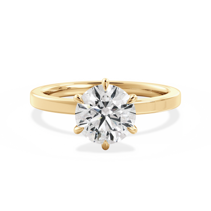 Base Ring - 020902000402050000000000
