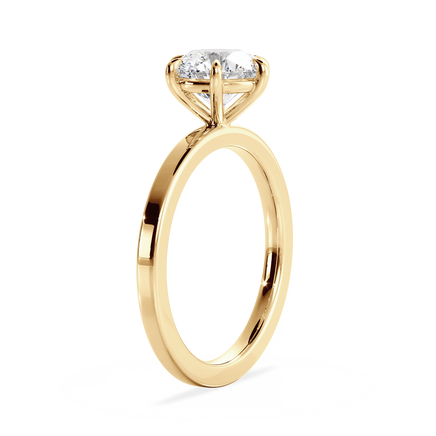 Base Ring - 020902000402050000000000