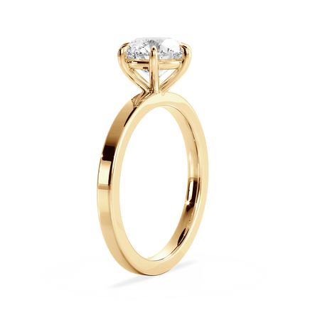 Base Ring - 020902000402060000000000