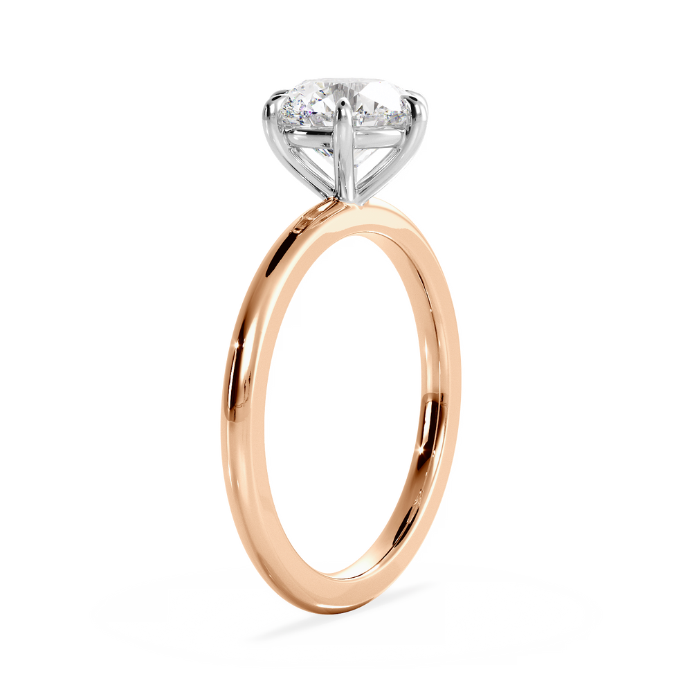 Base Ring - 020902001101010000000000 - View 