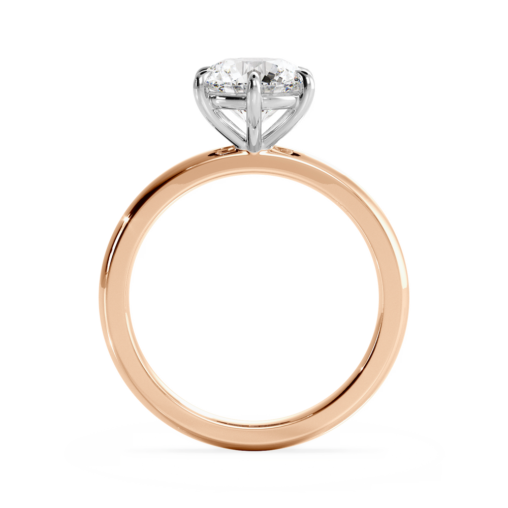 Base Ring - 020902001101010000000000 - View 