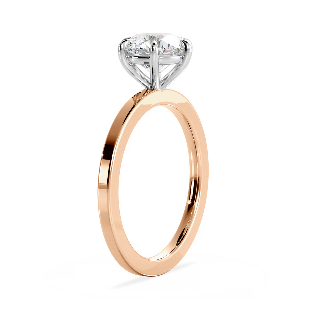 Base Ring - 020902001102040000000000 - View 
