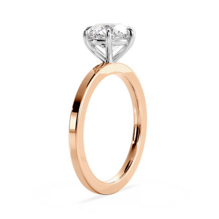 Base Ring - 020902001102040000000000