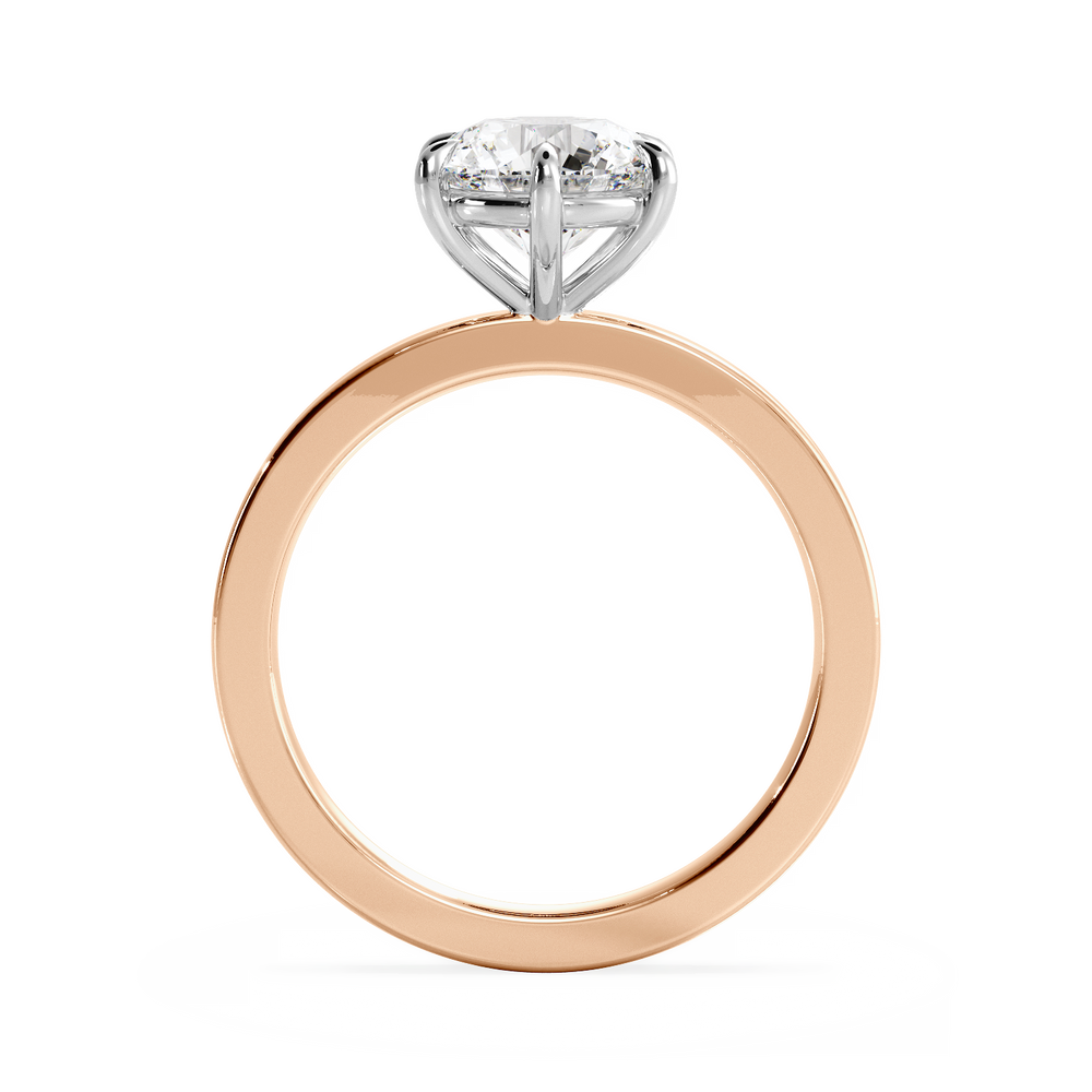 Base Ring - 020902001102040000000000 - View 