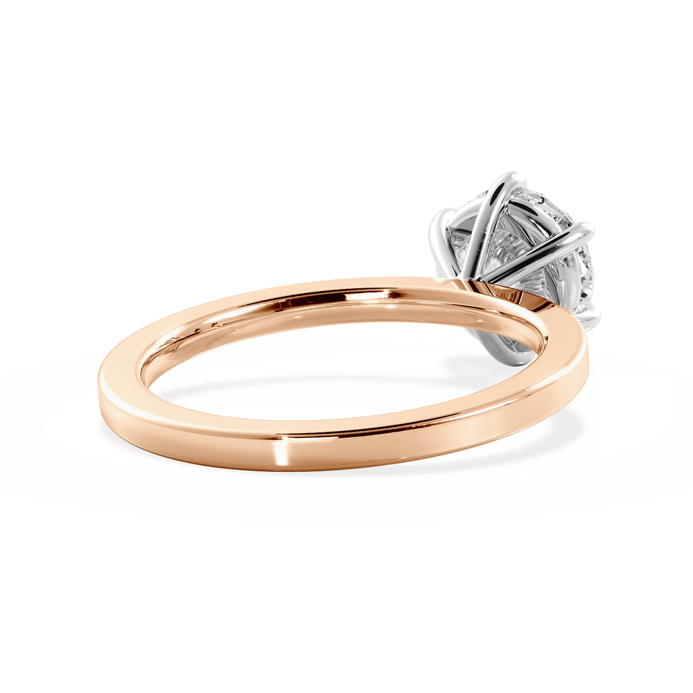 Base Ring - 020902001102040000000000 - View 