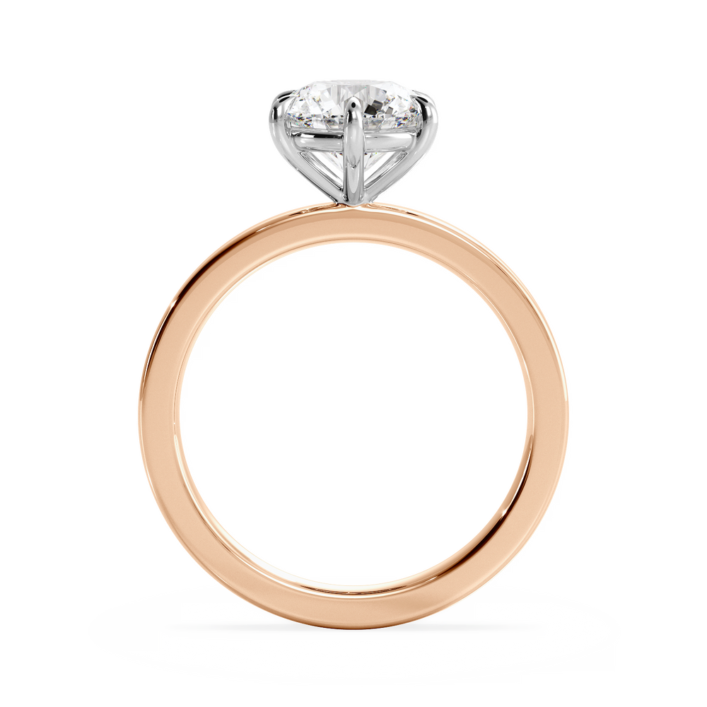 Base Ring - 020902001102050000000000 - View 