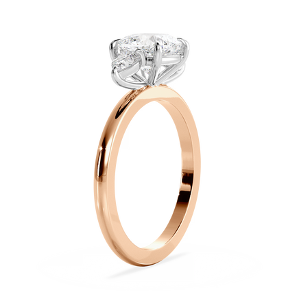 Base Ring - 040200001101010000000000