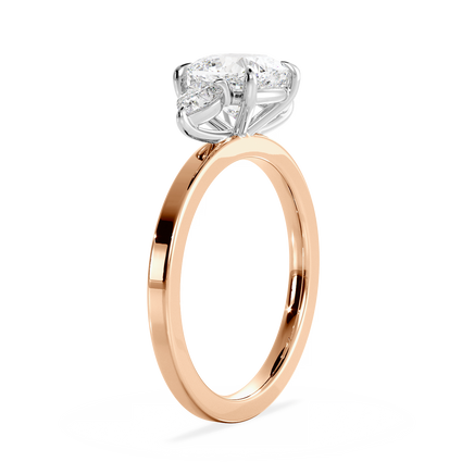 Base Ring - 040200001102050000000000