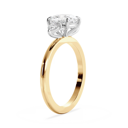 Base Ring - 040200001201010000000000