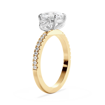 Base Ring - 040200001203070100000000