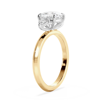Base Ring - 040200001205090000000000