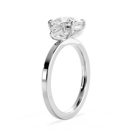 Base Ring - 040300000102050000000000