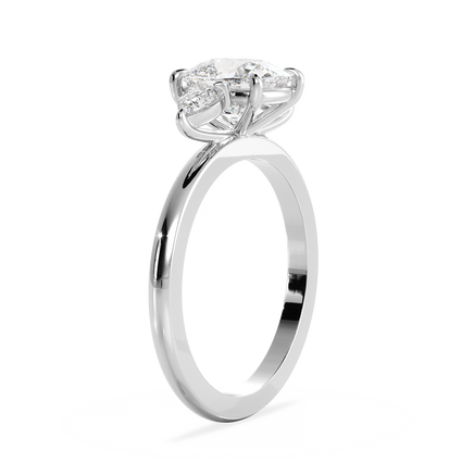 Base Ring - 040300000701010000000000